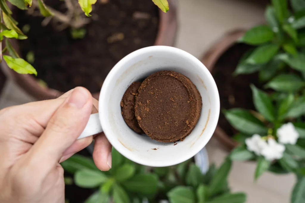 Used Coffee Grounds In white mug